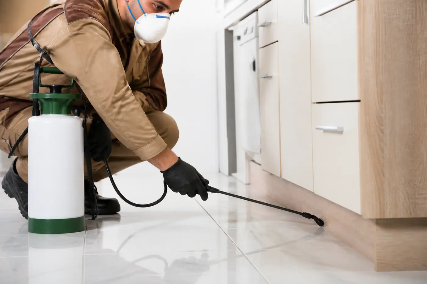 Cockroach Control